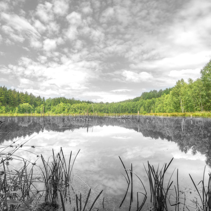 traumhafter See in grünem Wald, Glasbild Quadratisch