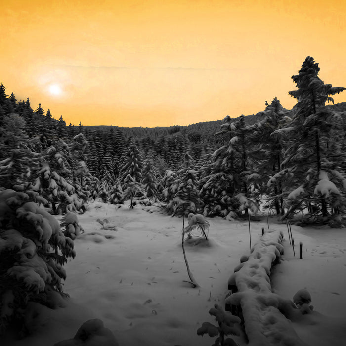 Wald im verschneiten Winter, Glasbild Quadratisch