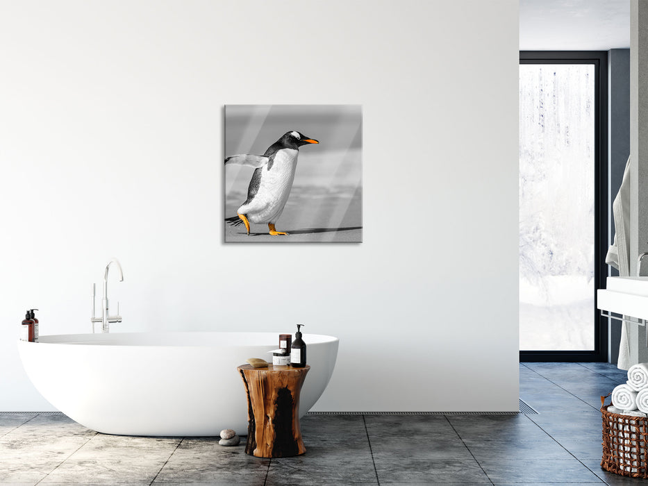 watschelnder Pinguin am Strand, Glasbild Quadratisch