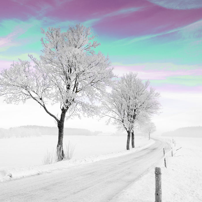 Baum in Winterlandschaft, Glasbild Quadratisch