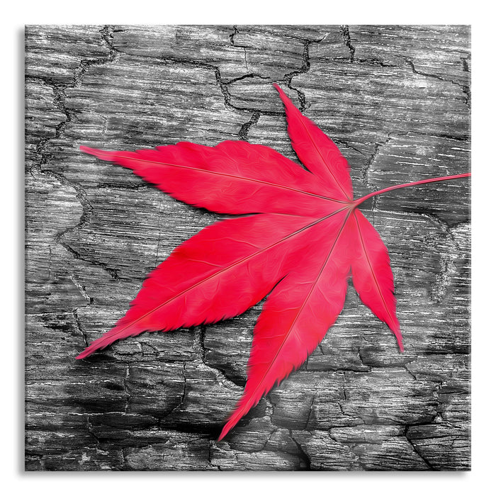 Pixxprint Rotes Ahornblatt im Herbst, Glasbild Quadratisch