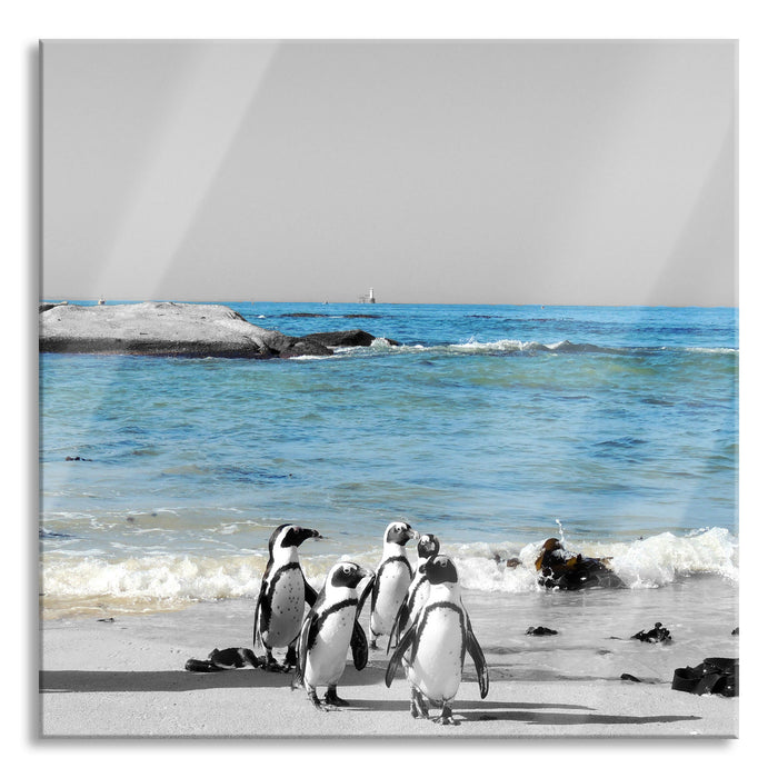 Pixxprint lustige Pinguine am Strand, Glasbild Quadratisch