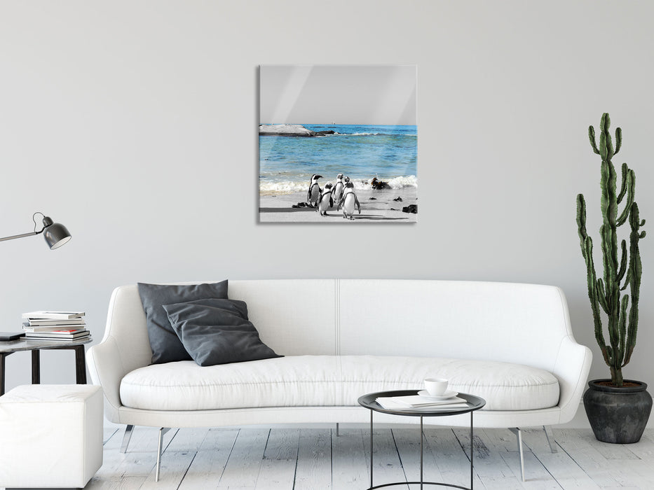 lustige Pinguine am Strand, Glasbild Quadratisch