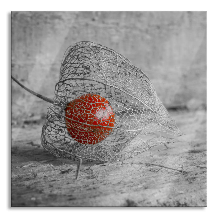 Pixxprint leckere Physalis in Schale, Glasbild Quadratisch