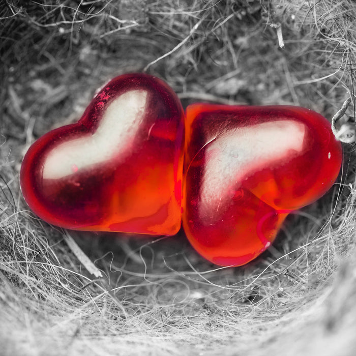 zwei Herzen in kleinem Nest, Glasbild Quadratisch