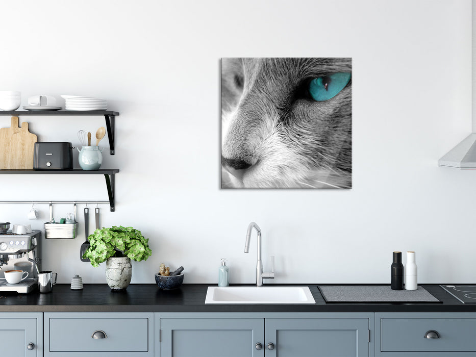 Katze mit Augen, Glasbild Quadratisch