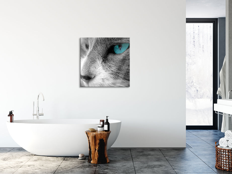 Katze mit Augen, Glasbild Quadratisch