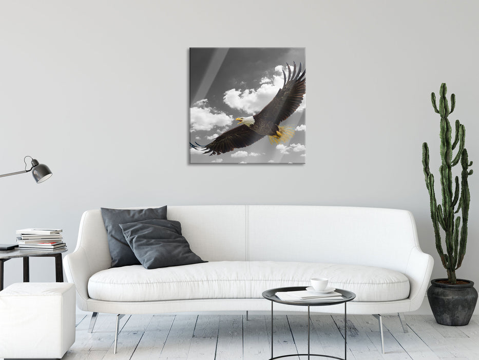 Weißkopfseeadler beim fliegen, Glasbild Quadratisch