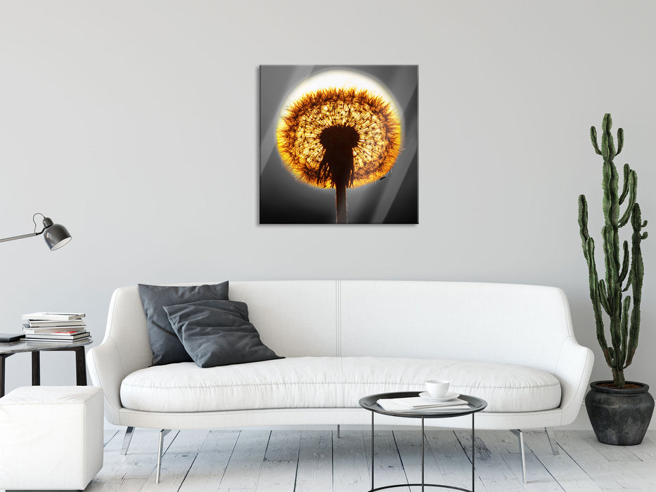 Pusteblume vor untergehender Sonne, Glasbild Quadratisch