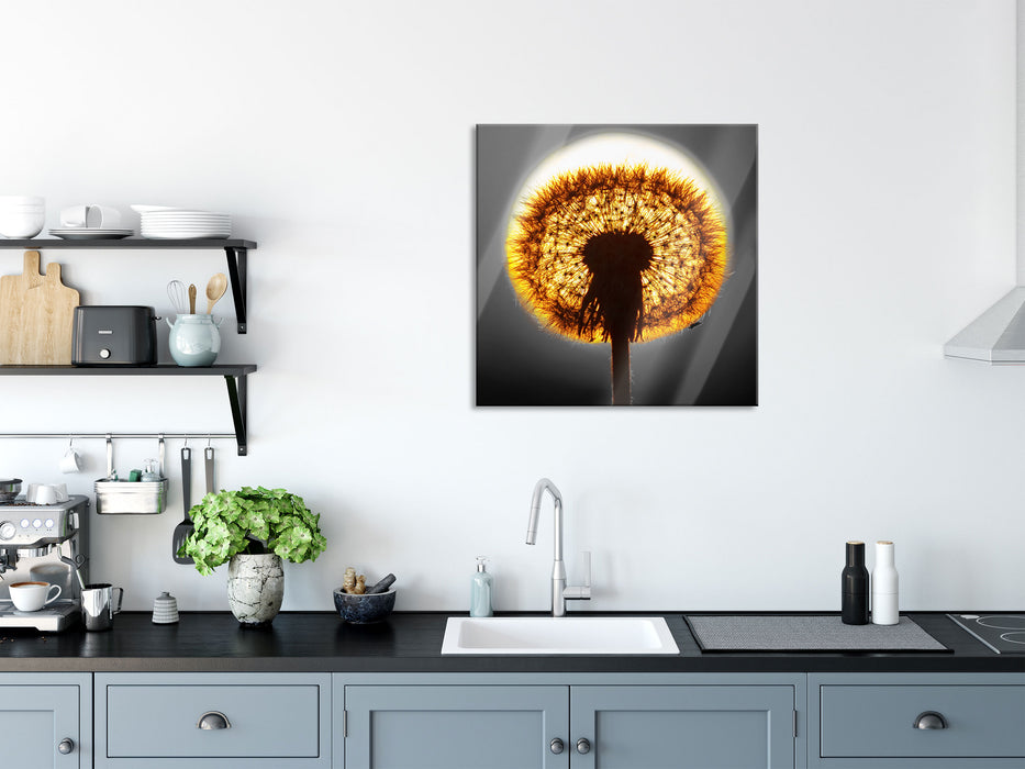 Pusteblume vor untergehender Sonne, Glasbild Quadratisch