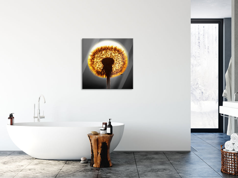 Pusteblume vor untergehender Sonne, Glasbild Quadratisch