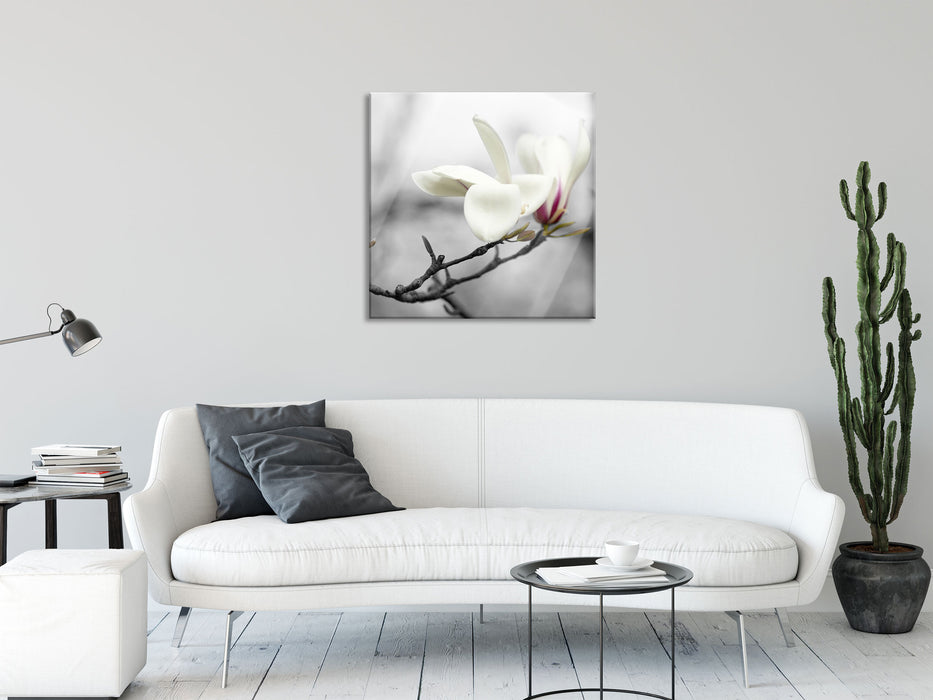 Magnolienblüten, Glasbild Quadratisch