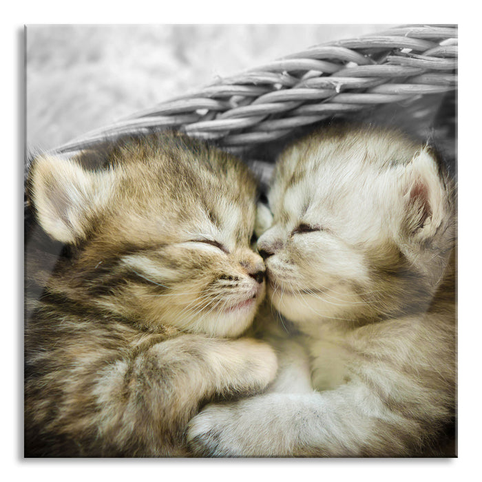 Zwei süße Babykatzen im Korb, Glasbild Quadratisch