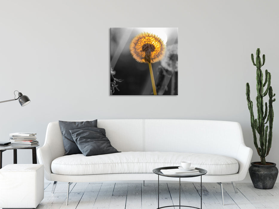 Pusteblumen beim Sonnenuntergang, Glasbild Quadratisch