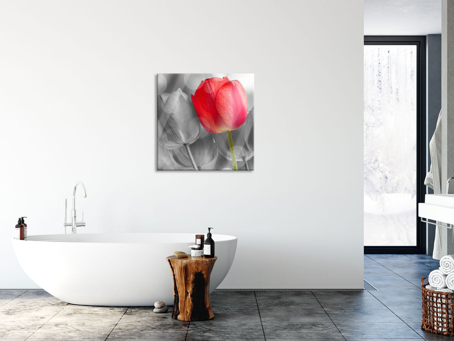 Wunderschöne Tulpen, Glasbild Quadratisch