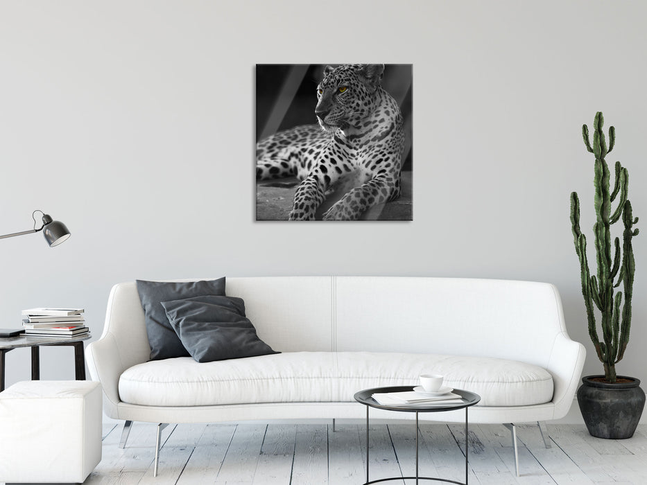 Leopard auf Felsen liegend, Glasbild Quadratisch