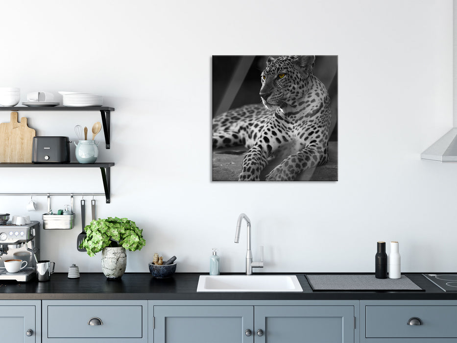 Leopard auf Felsen liegend, Glasbild Quadratisch