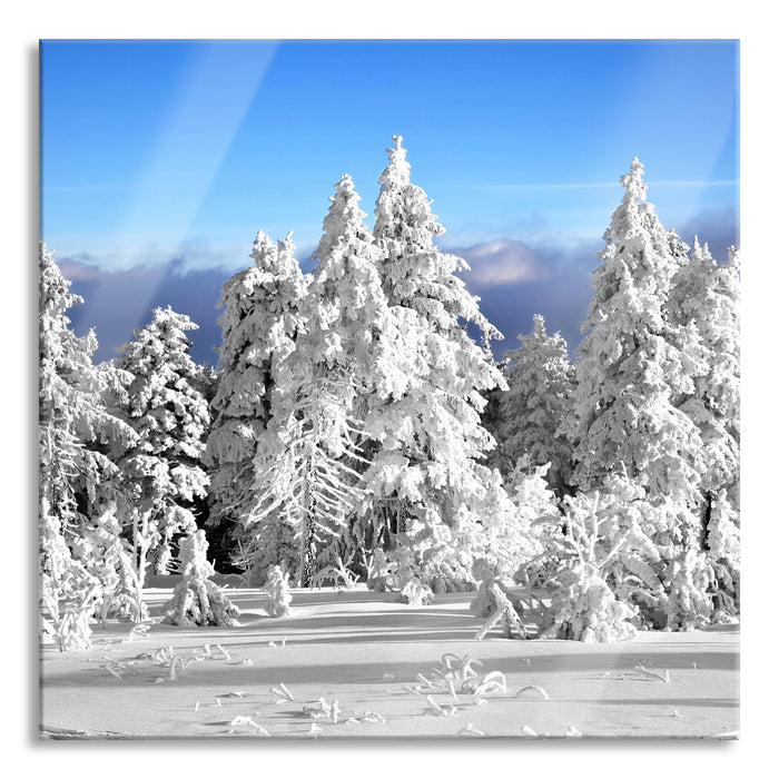 Pixxprint Winter Wunderland, Glasbild Quadratisch