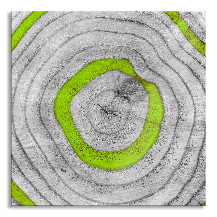 Pixxprint grüne Baumringe, Glasbild Quadratisch