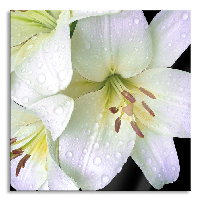 Pixxprint Dark Orchideenblüten, Glasbild Quadratisch