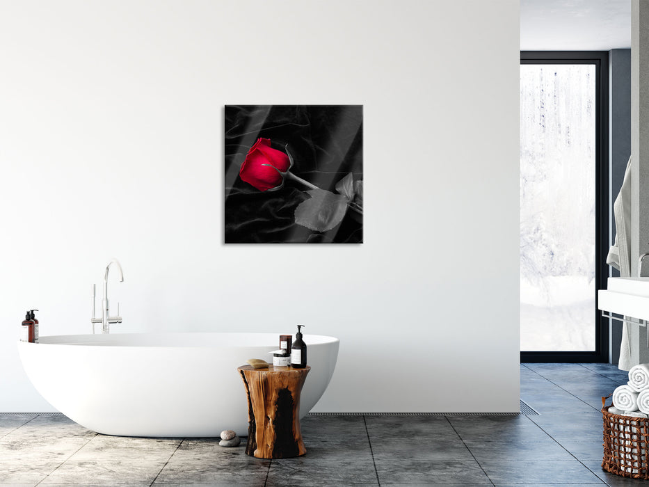 Rose gebettet auf Samt, Glasbild Quadratisch