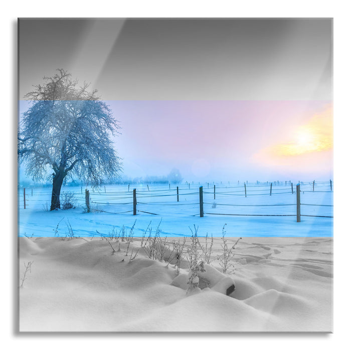 Pixxprint Baum in Winterlandschaft, Glasbild Quadratisch