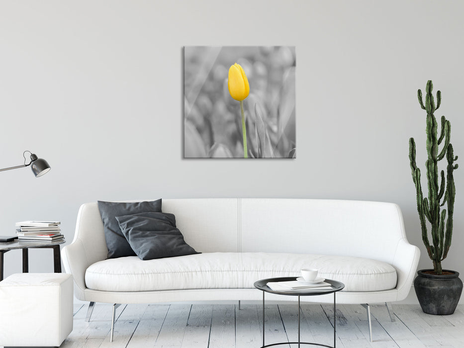 Gelbes Tulpenmeer, Glasbild Quadratisch