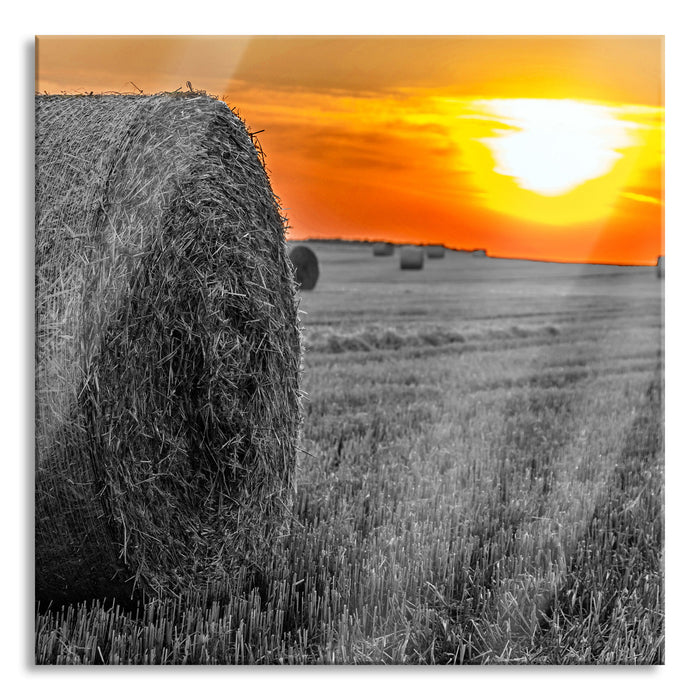 Pixxprint Strohballen auf Feld, Glasbild Quadratisch