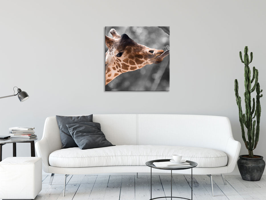 Hungrige Giraffe mit Zweig, Glasbild Quadratisch