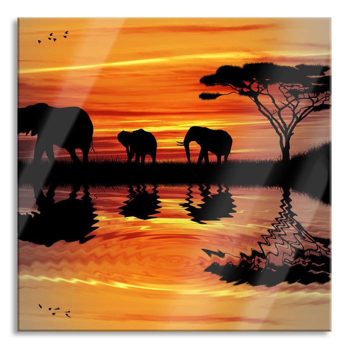 Pixxprint Afrika Elefant in Sonnenschein, Glasbild Quadratisch