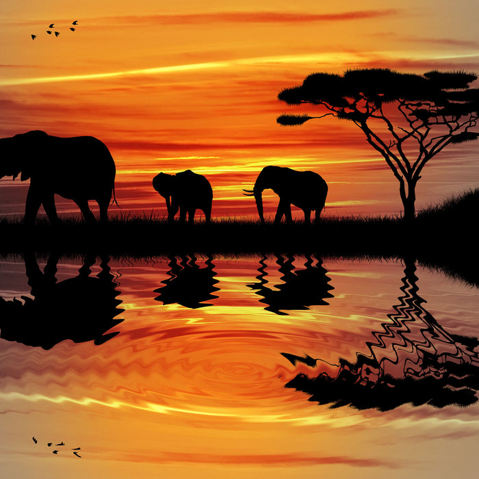 Afrika Elefant in Sonnenschein, Glasbild Quadratisch