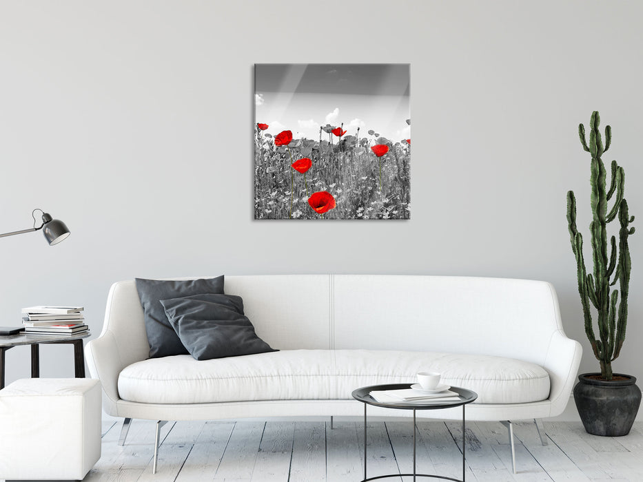 schöner rot leuchtender Mohn, Glasbild Quadratisch