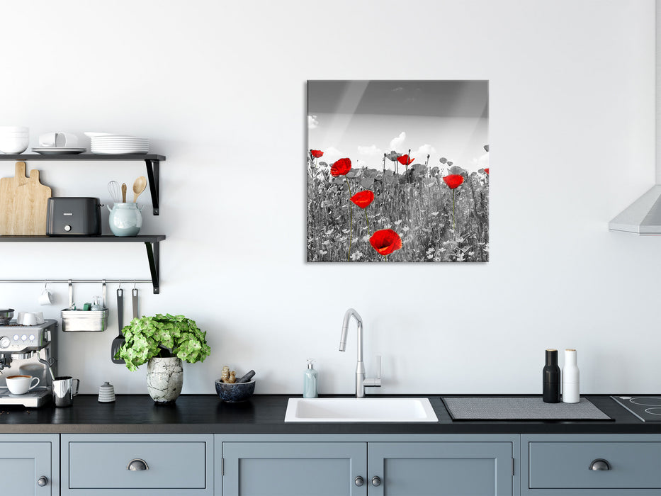 schöner rot leuchtender Mohn, Glasbild Quadratisch