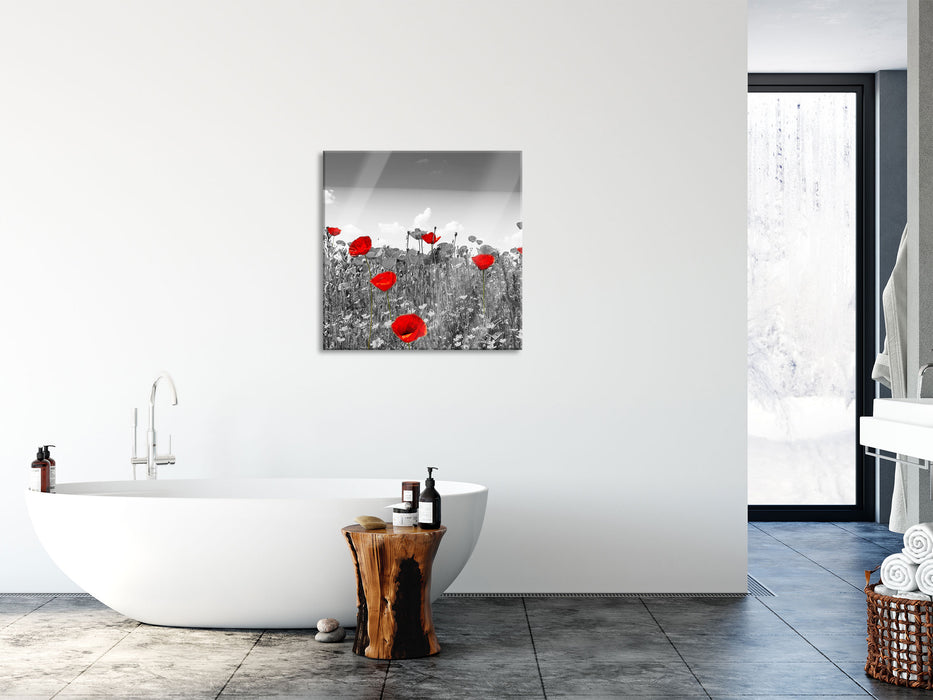 schöner rot leuchtender Mohn, Glasbild Quadratisch