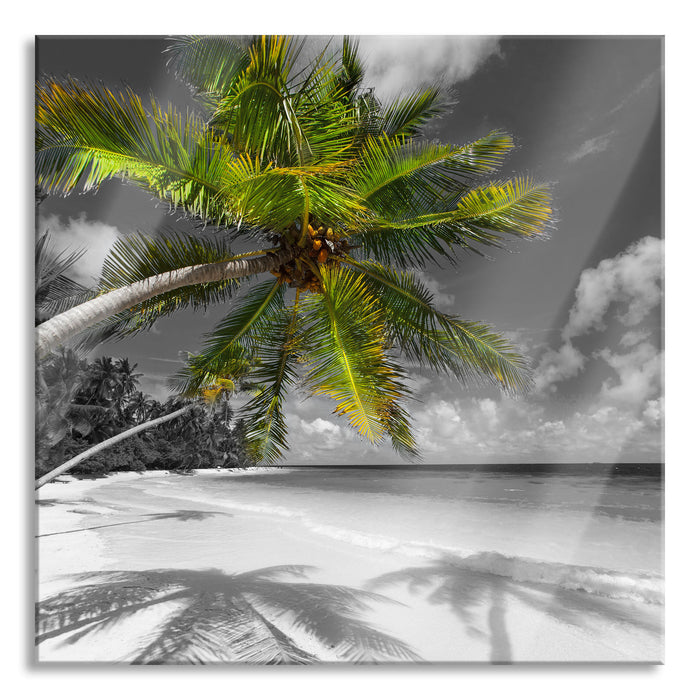 Pixxprint riesige Palme über Strand, Glasbild Quadratisch