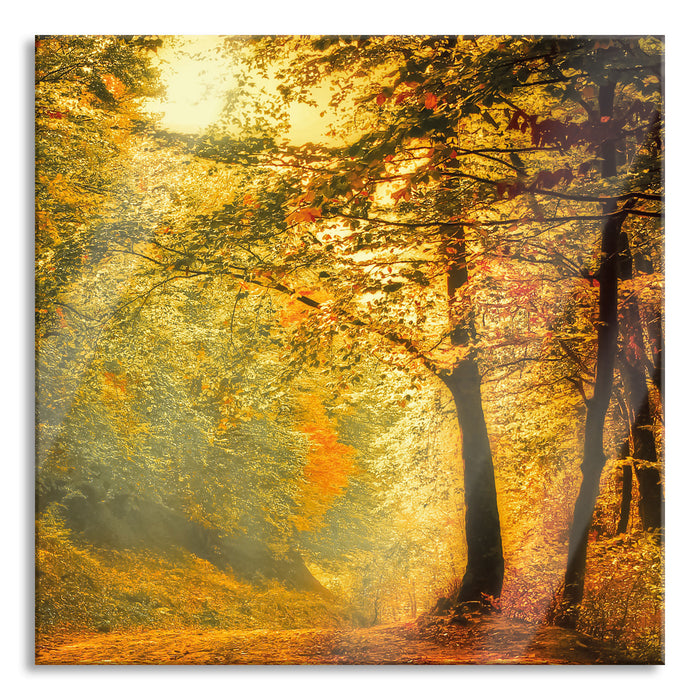 Pixxprint Wald im Herbst, Glasbild Quadratisch