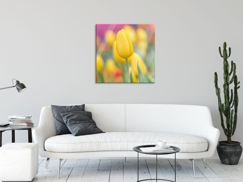 Gelbe Tulpen im Frühling, Glasbild Quadratisch