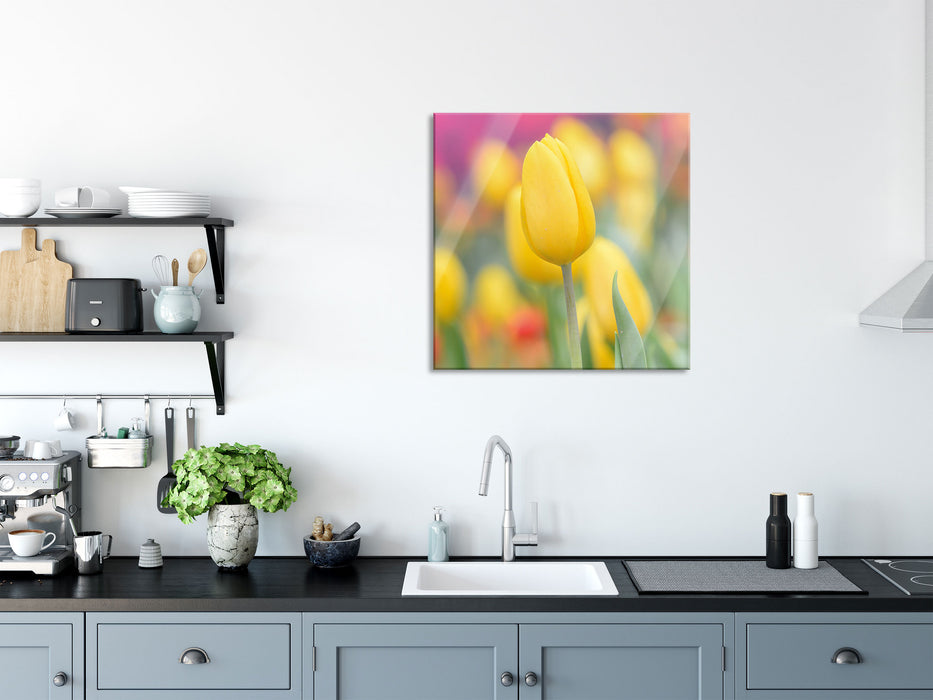 Gelbe Tulpen im Frühling, Glasbild Quadratisch