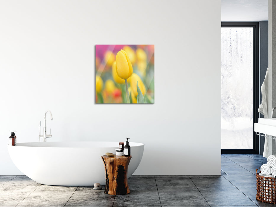 Gelbe Tulpen im Frühling, Glasbild Quadratisch