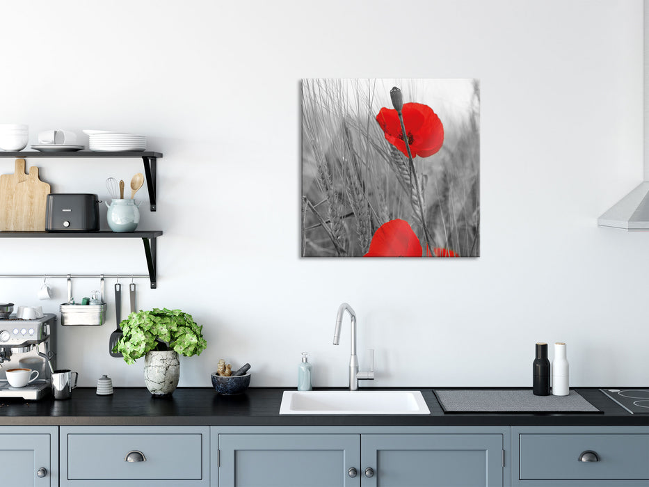 einzelne Mohnblumen im Getreidefeld, Glasbild Quadratisch