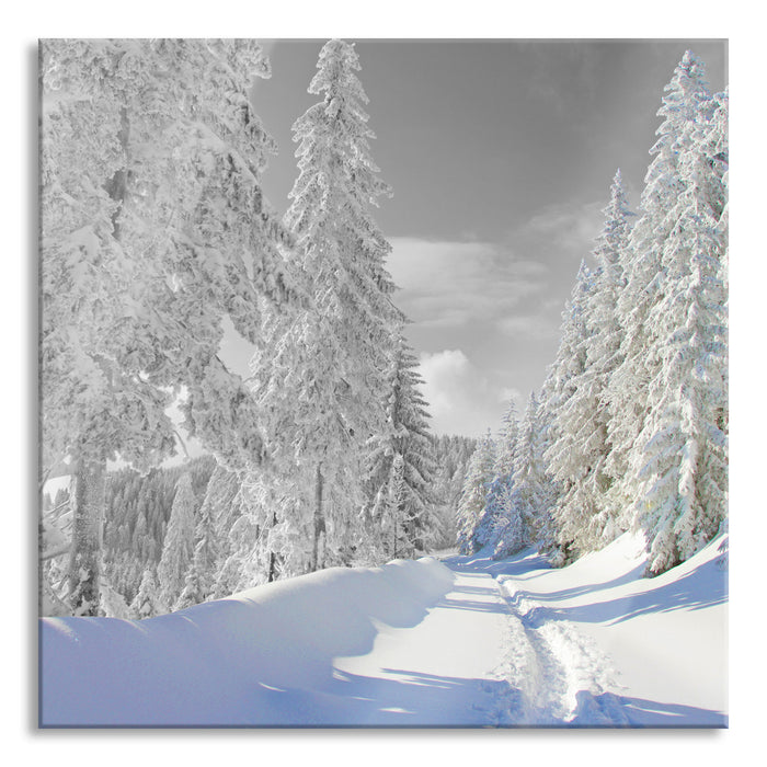 Pixxprint Winterlandschaft mit Bäumen, Glasbild Quadratisch