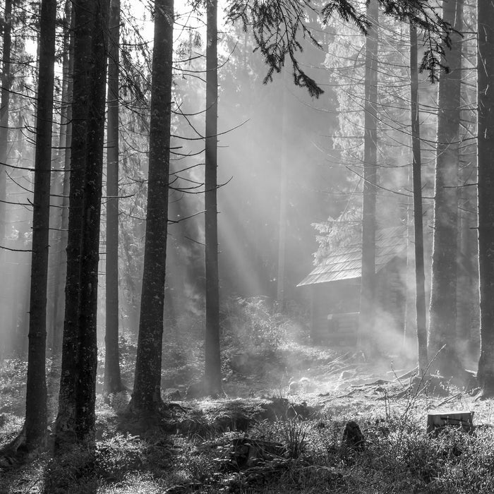 Häuschen im Wald, Glasbild Quadratisch