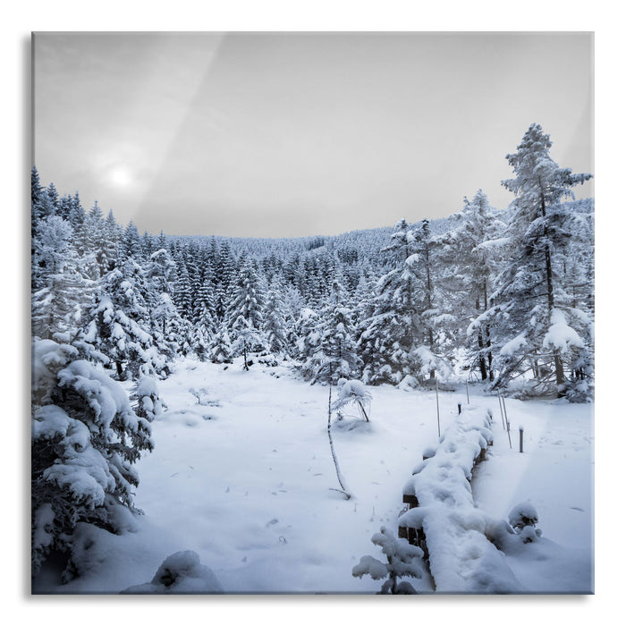 Pixxprint Wald im verschneiten Winter, Glasbild Quadratisch