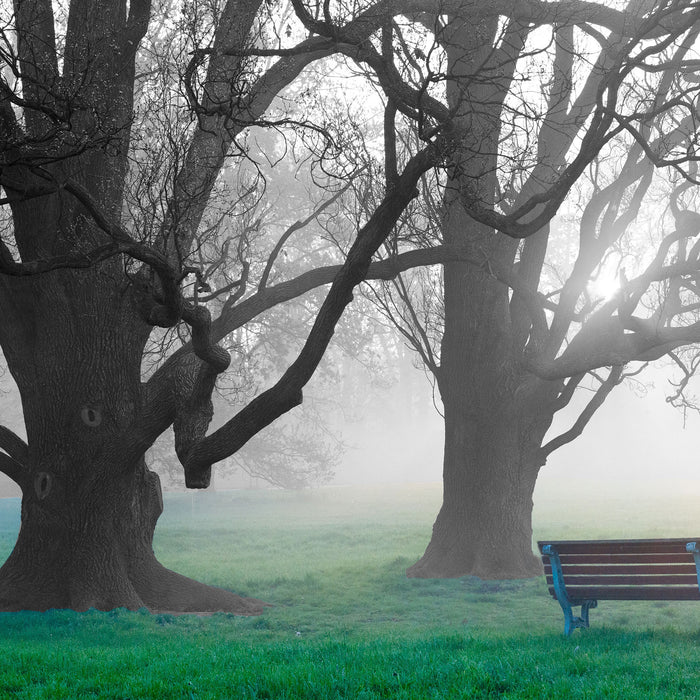 Einsame Bank im Nebel, Glasbild Quadratisch