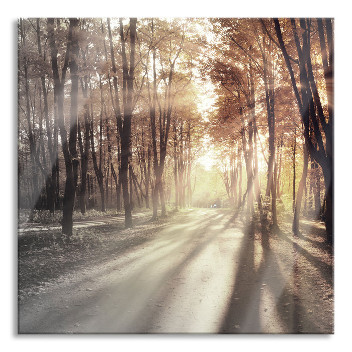 Pixxprint Allee im Herbstlicht, Glasbild Quadratisch