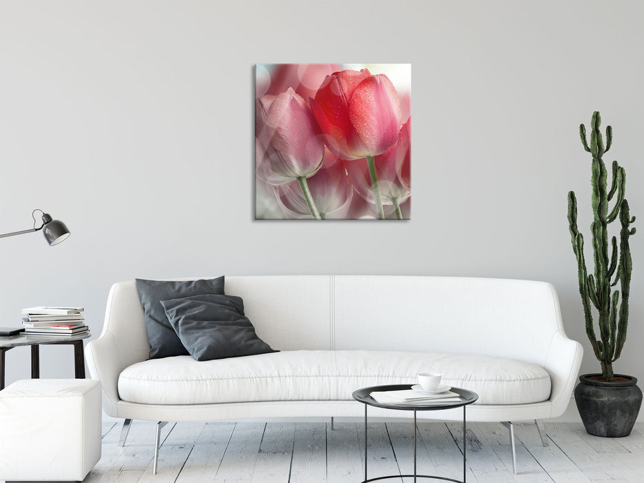 Wunderschöne Tulpen, Glasbild Quadratisch