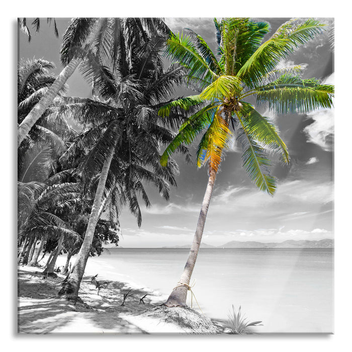 wunderschöner Strand mit Palmen, Glasbild Quadratisch