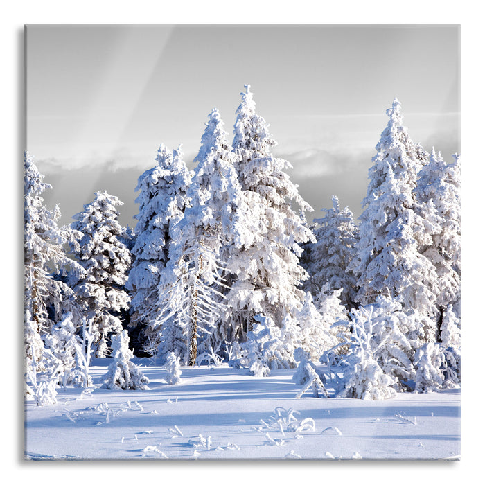 Pixxprint Winter Wunderland, Glasbild Quadratisch