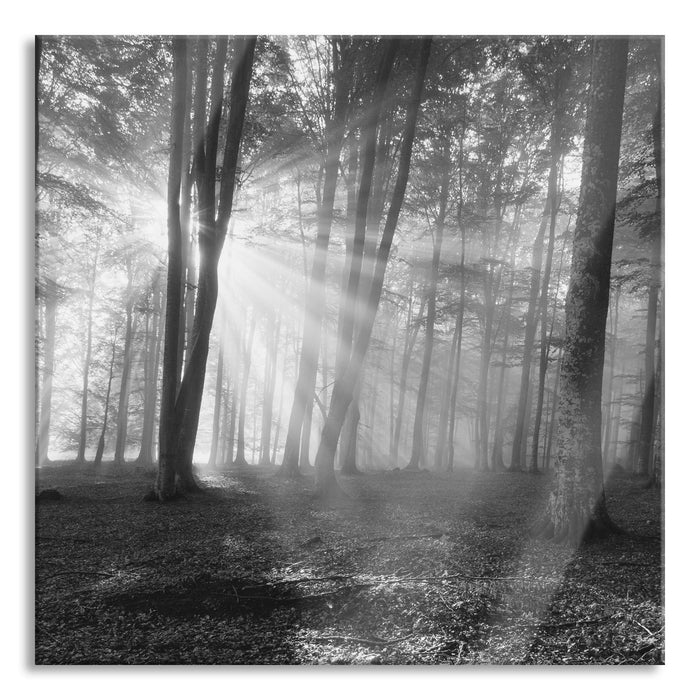 Pixxprint Wald mit Sonnenstrahlen, Glasbild Quadratisch