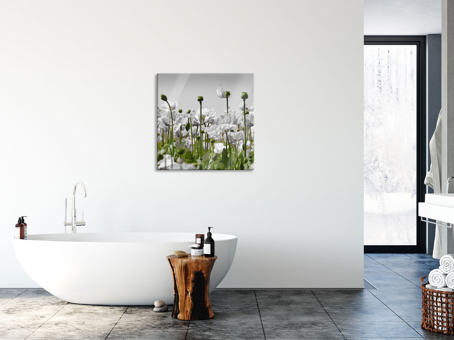 Blumenwiese Mohnblumen, Glasbild Quadratisch